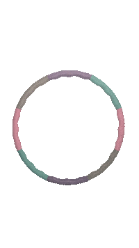 Hula Hoop Sticker by Elli Hoop