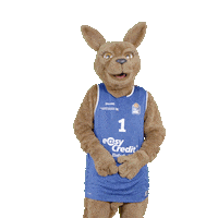 social-media-easycredit basketball easycredit kusshand ellihoop Sticker