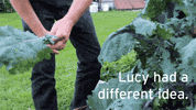 pbs food cooking GIF