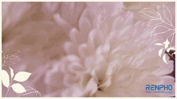 Holy Week Fitness GIF by RENPHO
