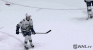 ice hockey what GIF by NHL