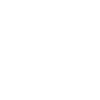 Bjj Grappling Sticker by UFC GYM
