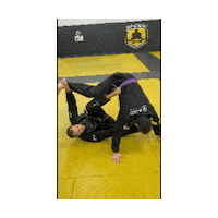Brazilian Jiu Jitsu Sticker by Brazilian Top Team