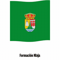 Castilla Y Leon Bandera GIF by Formación Ninja