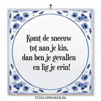 Winter Humor GIF by Tegelspreuken.nl