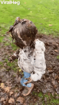 Little Girl Puts on a Mud Mask