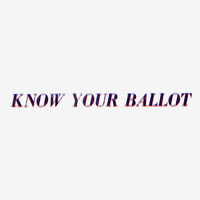 Vote Early GIF by INTO ACTION