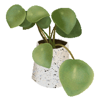 Secret Life Of Plants Plant Sticker