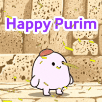 Western Wall Jewish GIF by Bereishis Foundation