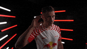 Listen Germany GIF by Bundesliga