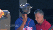 minnesota twins baseball GIF by MLB