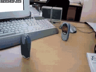 fight cellphone GIF by Cheezburger