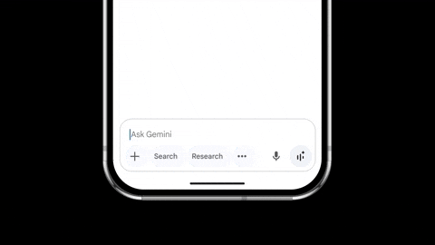 gokayuyan13 giphyupload GIF