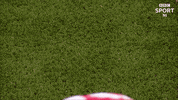 Paul Oneill GIF by Cliftonville Football Club