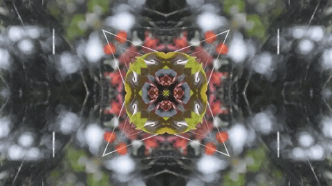 Art Love GIF by jorgemariozuleta