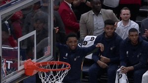 GIF by NBA