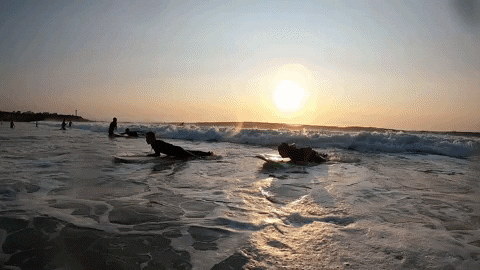 roxandyo giphygifmaker wave sunset surf GIF