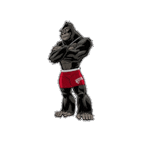 Workout Sticker by World Gym