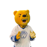 Basketball Bear Sticker by Western New England University