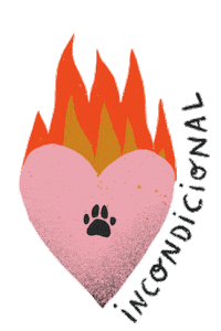 Dog Fire Sticker by lamadriguerarecords