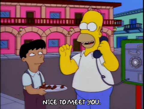 homer simpson episode 20 GIF