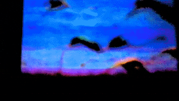 pink flamingos GIF by Valeria Vicente