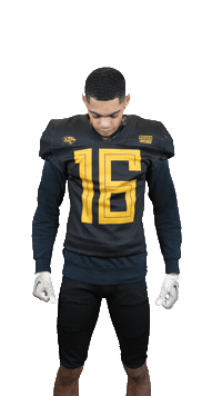 leopardsrouen sport rouen fffa footus Sticker