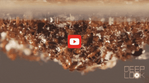 GIF by KQEDScience
