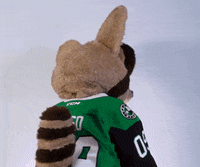 txstars  GIF