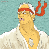 street fighter fox GIF