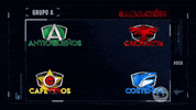GIF by Caracol Television