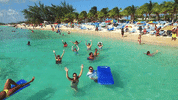 Season 2 90S GIF by Rock This Boat: New Kids On The Block