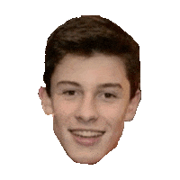 shawn mendes STICKER by imoji
