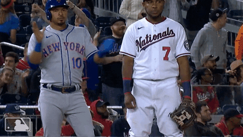 Celebrate Ny Mets GIF by New York Mets