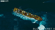 blue planet ocean GIF by BBC Earth
