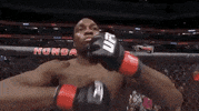 Sport Mma GIF by UFC