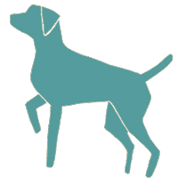Dog Weimaraner Sticker by Andrea Caceres