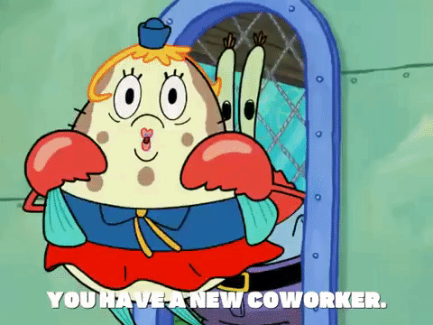 season 7 episode 10 GIF by SpongeBob SquarePants
