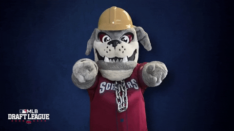 Baseball Yes GIF by Mahoning Valley Scrappers