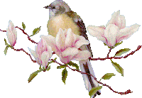 bird STICKER