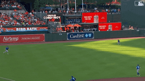 Blue Jays Baseball GIF by Toronto Blue Jays
