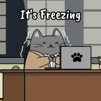 Cat Shaking GIF by MESA My Emotional Support Animal