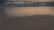 Crypto Nft GIF by JawsBTC