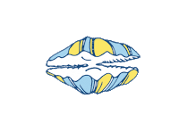 Summer Beach Sticker by bartacolife