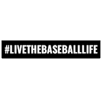 Playby Byaag Sticker by Baseball Youth