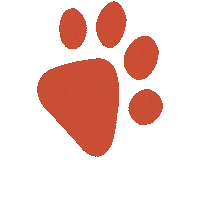 catniptakeout cats kitty kittens playful Sticker