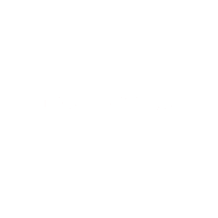 Fun Colors Sticker by Wheeladdict