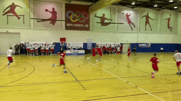 Handball Rukomet GIF by RKPorec