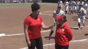 Celebration Softball GIF by Dayton Flyers