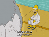 homer simpson GIF